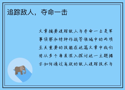 追踪敌人，夺命一击　